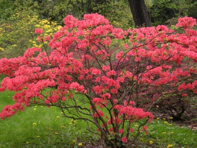 Czech Republic in Spring