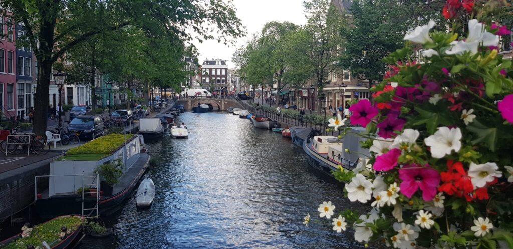 flowers and canal