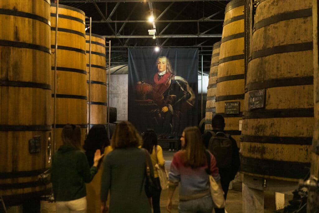 Port-Wine-Tour-Cellar