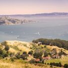 Casa_Travels12 Avatar