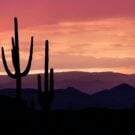 lauralN1649EQ Avatar