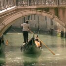 Sightsee59339758948 Avatar