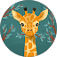 Mary G Avatar