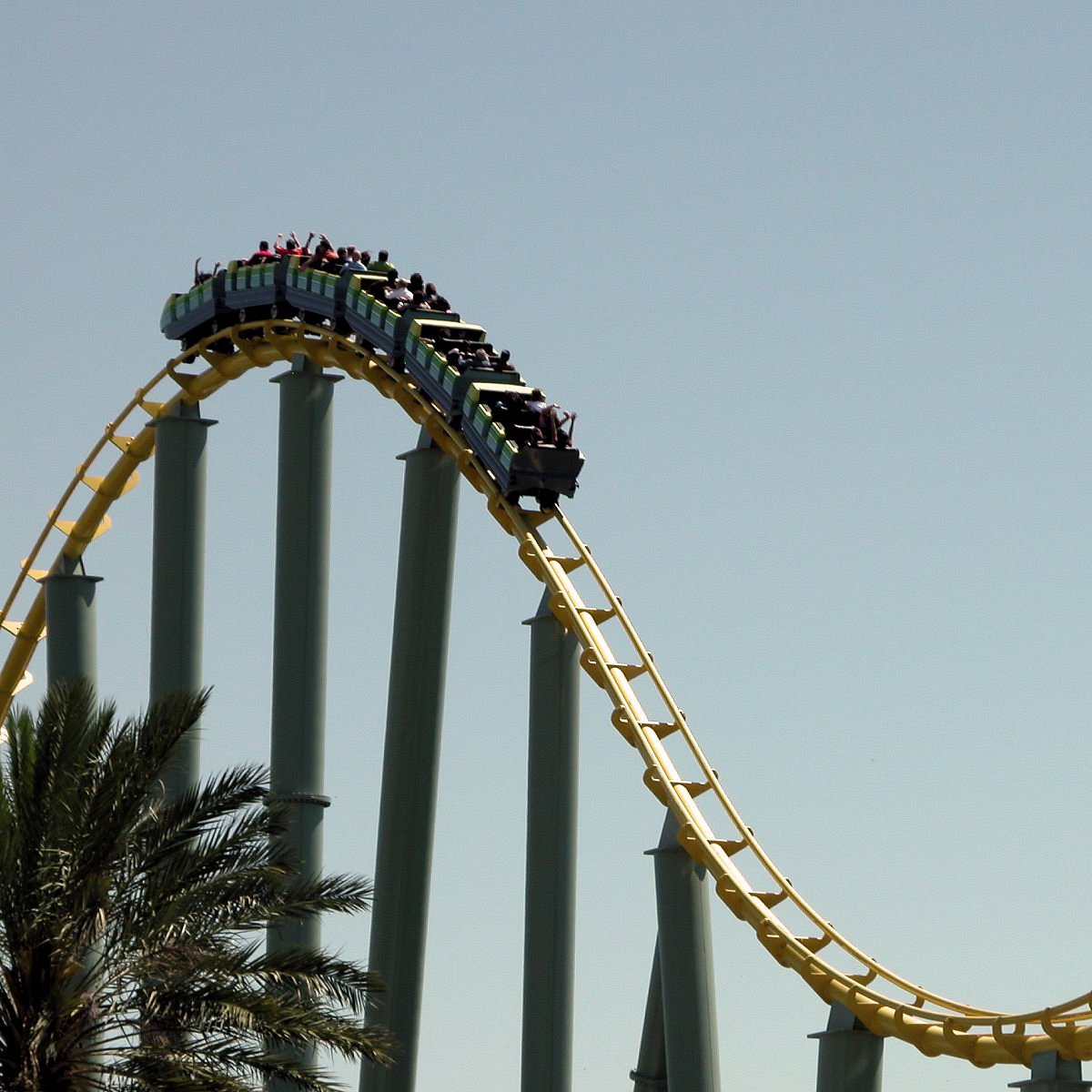 k s Avatar