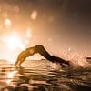 Lauren R Avatar